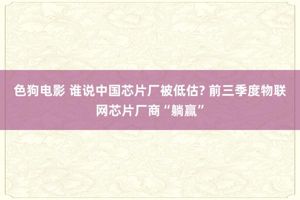 色狗电影 谁说中国芯片厂被低估? 前三季度物联网芯片厂商“躺赢”