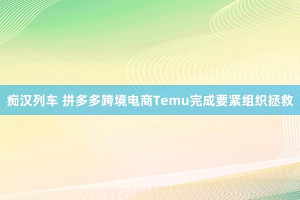 痴汉列车 拼多多跨境电商Temu完成要紧组织拯救