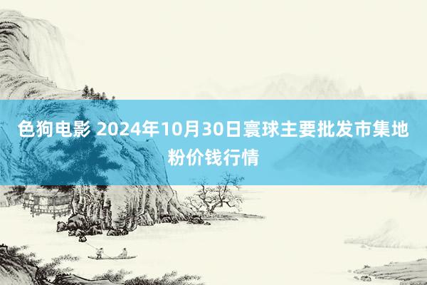 色狗电影 2024年10月30日寰球主要批发市集地粉价钱行情