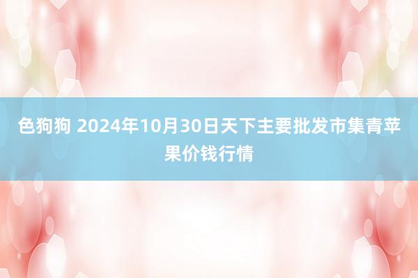 色狗狗 2024年10月30日天下主要批发市集青苹果价钱行情