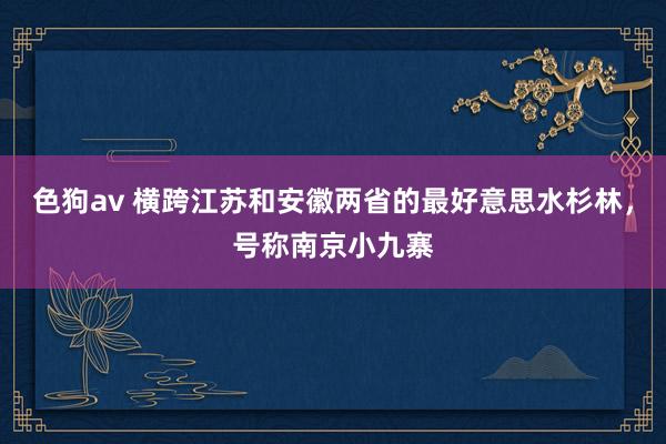 色狗av 横跨江苏和安徽两省的最好意思水杉林，号称南京小九寨