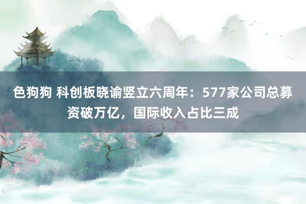 色狗狗 科创板晓谕竖立六周年：577家公司总募资破万亿，国际收入占比三成