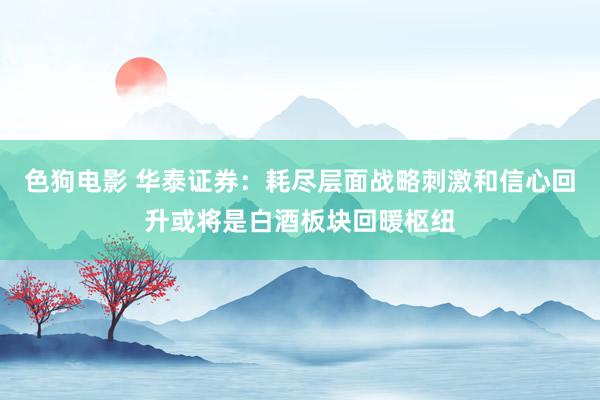 色狗电影 华泰证券：耗尽层面战略刺激和信心回升或将是白酒板块回暖枢纽