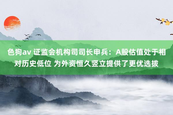 色狗av 证监会机构司司长申兵：A股估值处于相对历史低位 为外资恒久竖立提供了更优选拔