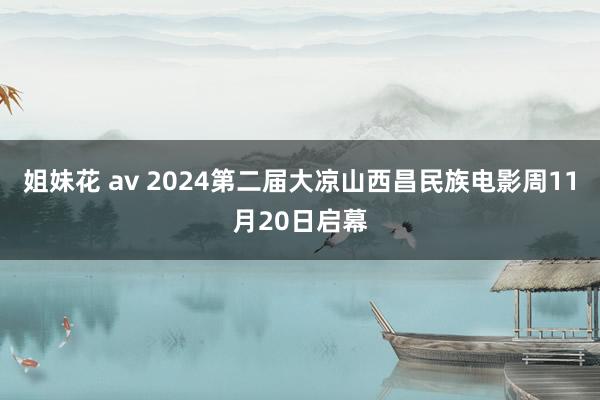 姐妹花 av 2024第二届大凉山西昌民族电影周11月20日启幕