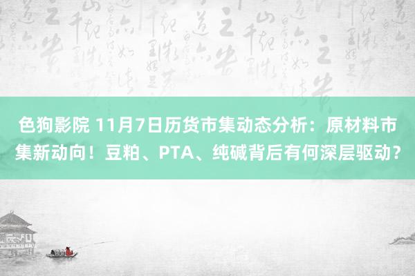 色狗影院 11月7日历货市集动态分析：原材料市集新动向！豆粕、PTA、纯碱背后有何深层驱动？