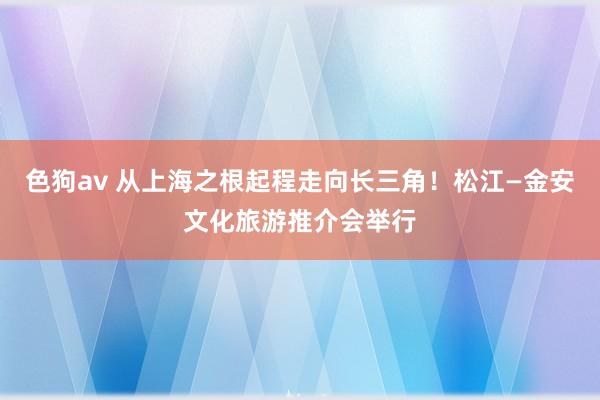 色狗av 从上海之根起程走向长三角！松江—金安文化旅游推介会举行