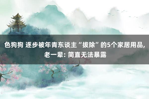 色狗狗 逐步被年青东谈主“拔除”的5个家居用品， 老一辈: 简直无法暴露