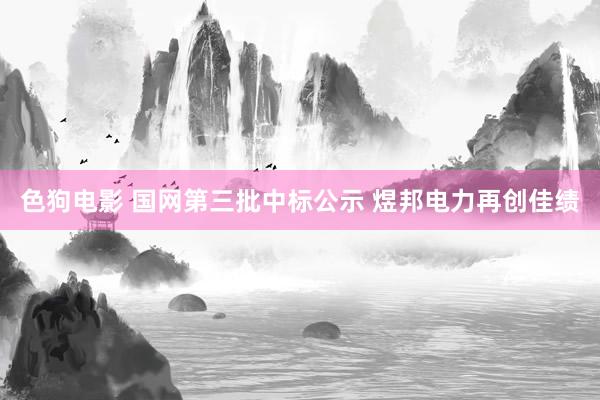 色狗电影 国网第三批中标公示 煜邦电力再创佳绩