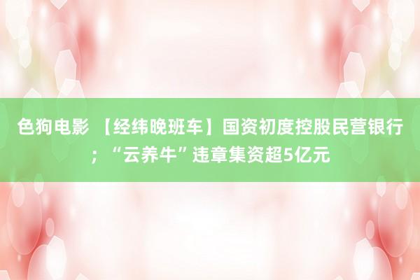 色狗电影 【经纬晚班车】国资初度控股民营银行；“云养牛”违章集资超5亿元