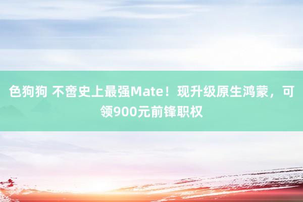 色狗狗 不啻史上最强Mate！现升级原生鸿蒙，可领900元前锋职权