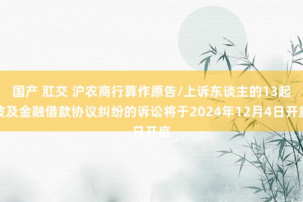 国产 肛交 沪农商行算作原告/上诉东谈主的13起波及金融借款协议纠纷的诉讼将于2024年12月4日开庭