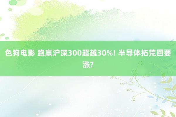 色狗电影 跑赢沪深300超越30%! 半导体拓荒回要涨?