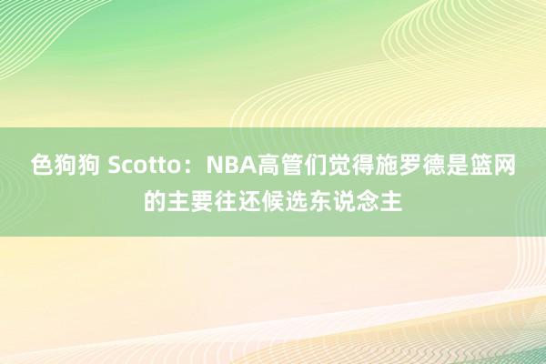 色狗狗 Scotto：NBA高管们觉得施罗德是篮网的主要往还候选东说念主