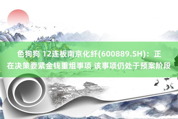 色狗狗 12连板南京化纤(600889.SH)：正在决策要紧金钱重组事项 该事项仍处于预案阶段