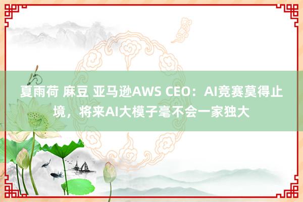 夏雨荷 麻豆 亚马逊AWS CEO：AI竞赛莫得止境，将来AI大模子毫不会一家独大