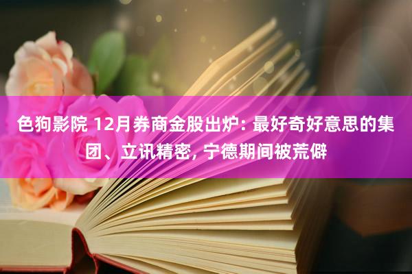 色狗影院 12月券商金股出炉: 最好奇好意思的集团、立讯精密， 宁德期间被荒僻