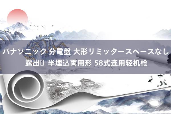 パナソニック 分電盤 大形リミッタースペースなし 露出・半埋込両用形 58式连用轻机枪