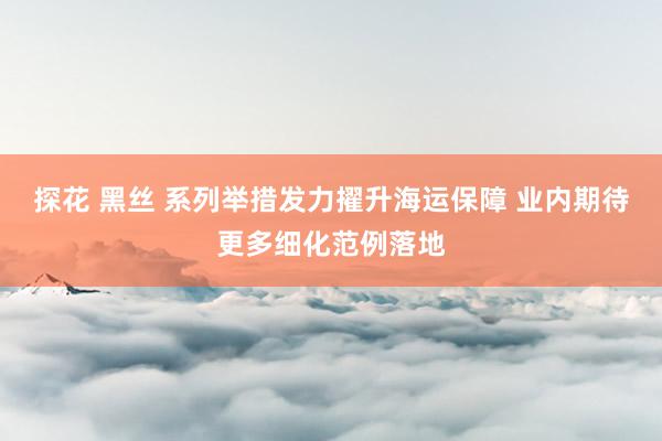 探花 黑丝 系列举措发力擢升海运保障 业内期待更多细化范例落地