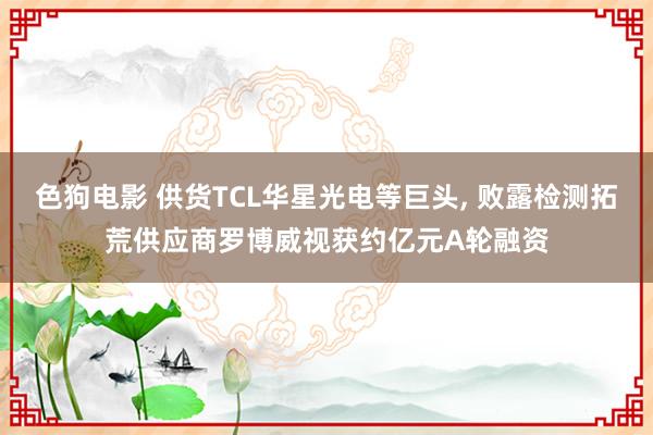 色狗电影 供货TCL华星光电等巨头， 败露检测拓荒供应商罗博威视获约亿元A轮融资