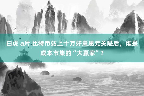 白虎 a片 比特币站上十万好意思元关隘后，谁是成本市集的“大赢家”？