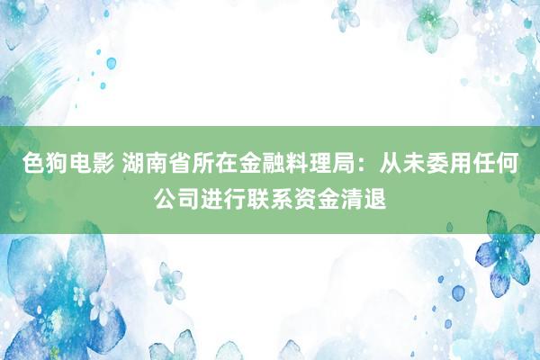 色狗电影 湖南省所在金融料理局：从未委用任何公司进行联系资金清退