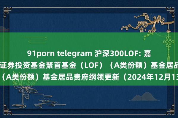 91porn telegram 沪深300LOF: 嘉实沪深300交游型怒放式指数证券投资基金聚首基金（LOF）（A类份额）基金居品贵府纲领更新（2024年12月13日）