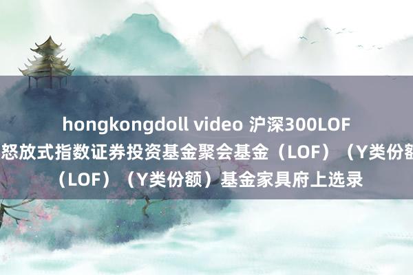 hongkongdoll video 沪深300LOF: 嘉实沪深300来回型怒放式指数证券投资基金聚会基金（LOF）（Y类份额）基金家具府上选录