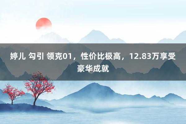 婷儿 勾引 领克01，性价比极高，12.83万享受豪华成就