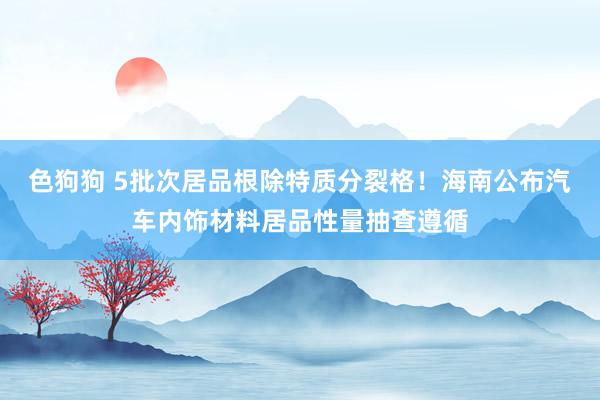 色狗狗 5批次居品根除特质分裂格！海南公布汽车内饰材料居品性量抽查遵循