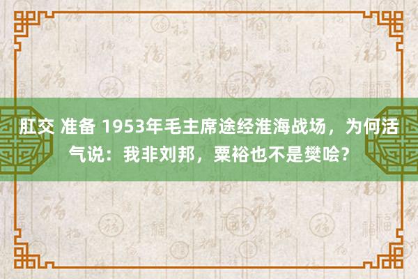 肛交 准备 1953年毛主席途经淮海战场，为何活气说：我非刘邦，粟裕也不是樊哙？