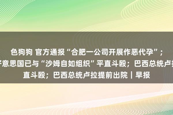 色狗狗 官方通报“合肥一公司开展作恶代孕”；好意思国务卿：好意思国已与“沙姆自如组织”平直斗殴；巴西总统卢拉提前出院｜早报