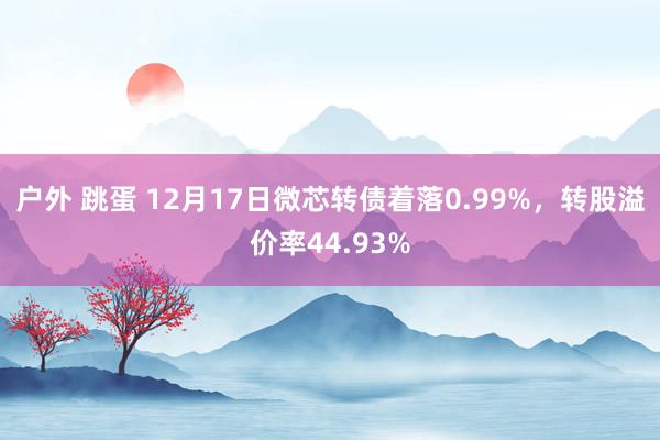 户外 跳蛋 12月17日微芯转债着落0.99%，转股溢价率44.93%