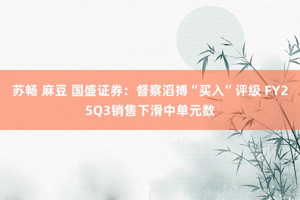 苏畅 麻豆 国盛证券：督察滔搏“买入”评级 FY25Q3销售下滑中单元数