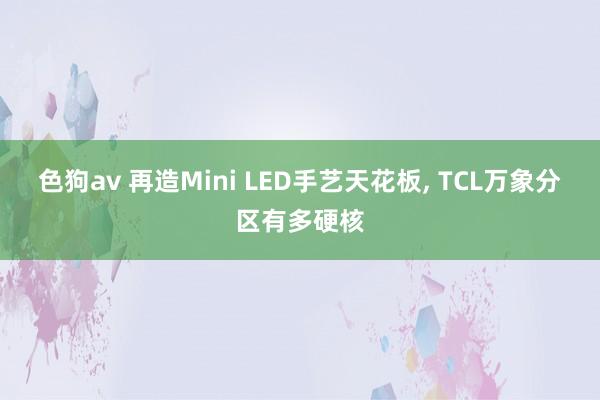 色狗av 再造Mini LED手艺天花板， TCL万象分区有多硬核