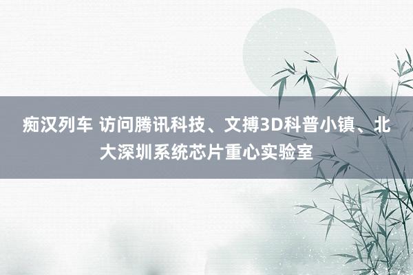 痴汉列车 访问腾讯科技、文搏3D科普小镇、北大深圳系统芯片重心实验室