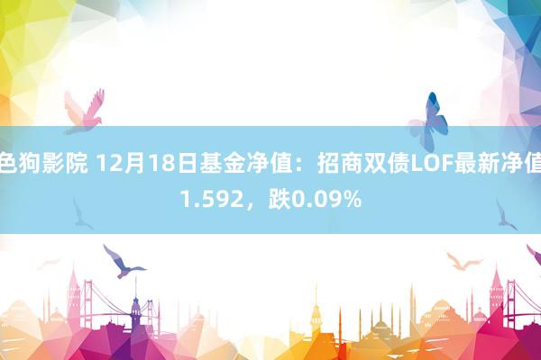 色狗影院 12月18日基金净值：招商双债LOF最新净值1.592，跌0.09%