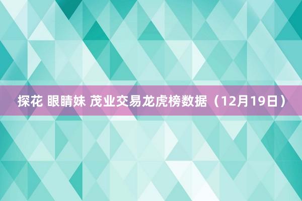 探花 眼睛妹 茂业交易龙虎榜数据（12月19日）