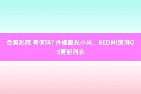 色狗影院 有你吗? 外媒曝光小米、REDMI滂湃OS更新列表