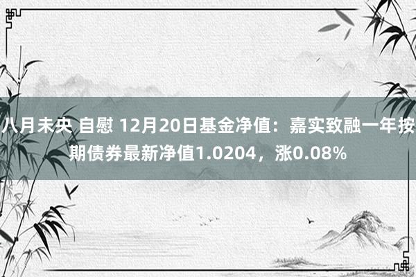 八月未央 自慰 12月20日基金净值：嘉实致融一年按期债券最新净值1.0204，涨0.08%