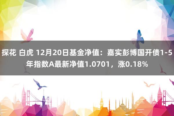 探花 白虎 12月20日基金净值：嘉实彭博国开债1-5年指数A最新净值1.0701，涨0.18%