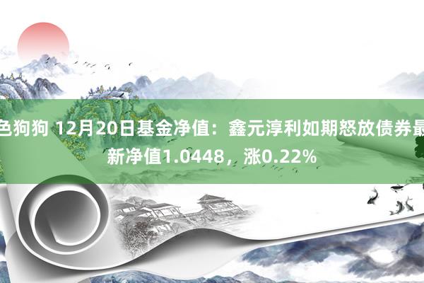 色狗狗 12月20日基金净值：鑫元淳利如期怒放债券最新净值1.0448，涨0.22%