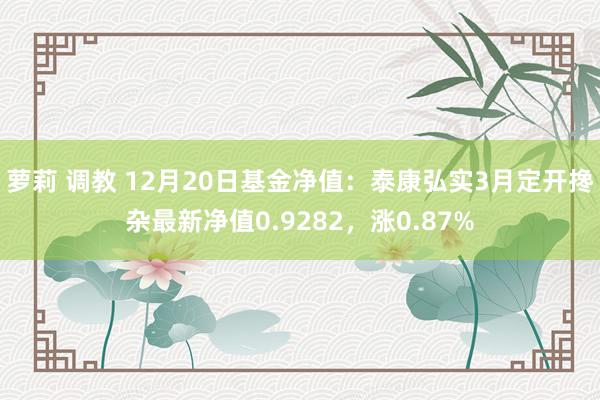 萝莉 调教 12月20日基金净值：泰康弘实3月定开搀杂最新净值0.9282，涨0.87%