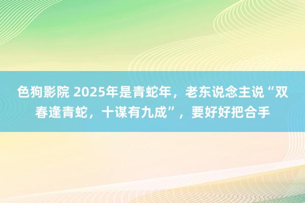 色狗影院 2025年是青蛇年，老东说念主说“双春逢青蛇，十谋有九成”，要好好把合手