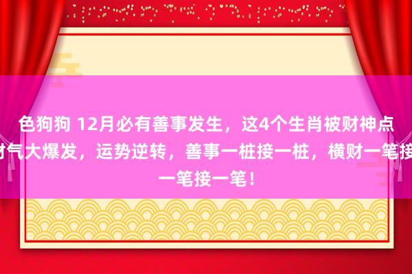 色狗狗 12月必有善事发生，这4个生肖被财神点名，财气大爆发，运势逆转，善事一桩接一桩，横财一笔接一笔！