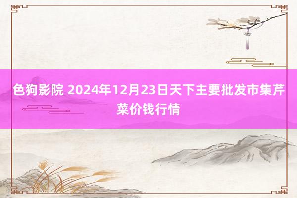 色狗影院 2024年12月23日天下主要批发市集芹菜价钱行情