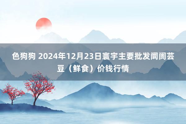 色狗狗 2024年12月23日寰宇主要批发阛阓芸豆（鲜食）价钱行情