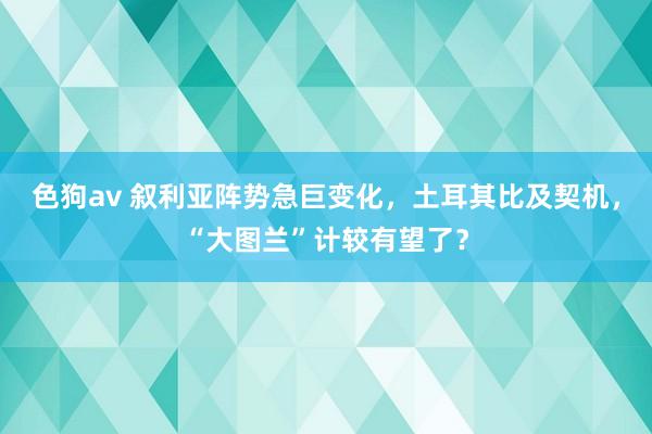 色狗av 叙利亚阵势急巨变化，土耳其比及契机，“大图兰”计较有望了？