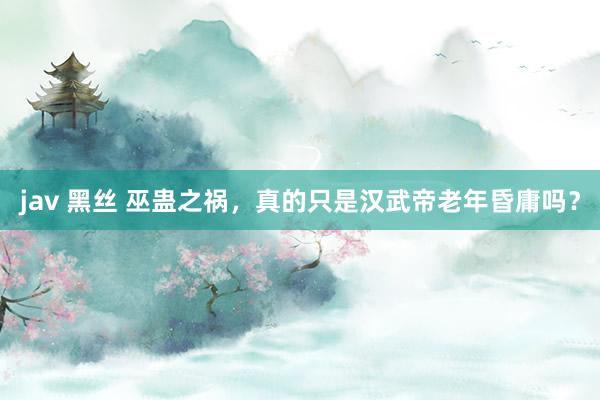 jav 黑丝 巫蛊之祸，真的只是汉武帝老年昏庸吗？