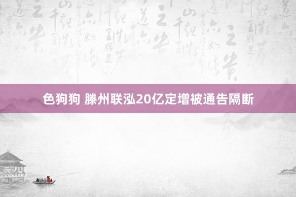 色狗狗 滕州联泓20亿定增被通告隔断